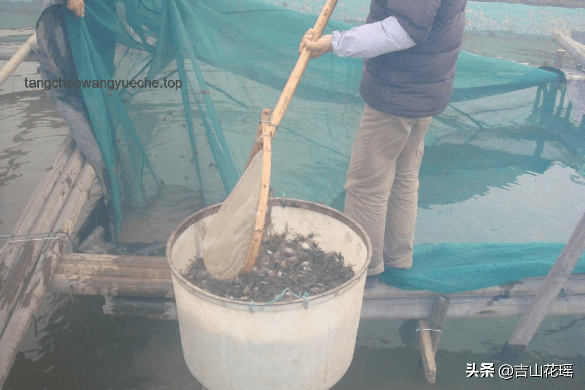 陈梦辟谣“400亿”传闻：有效应对网络谣言的策略